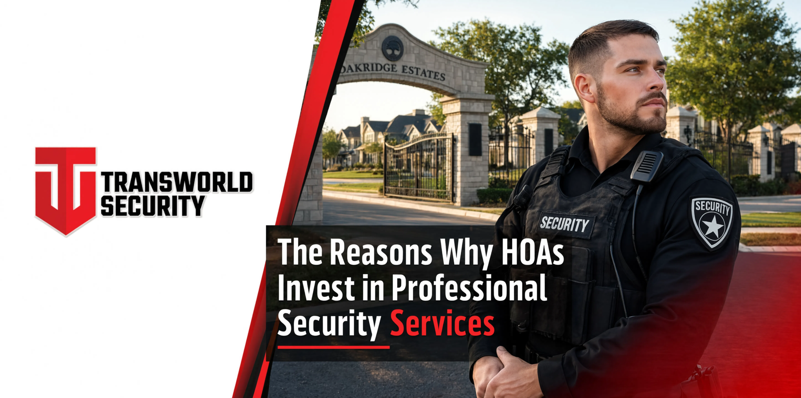 Professional Security Services